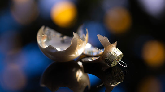 The Christmas Light I Still Look For - Set Forth NY