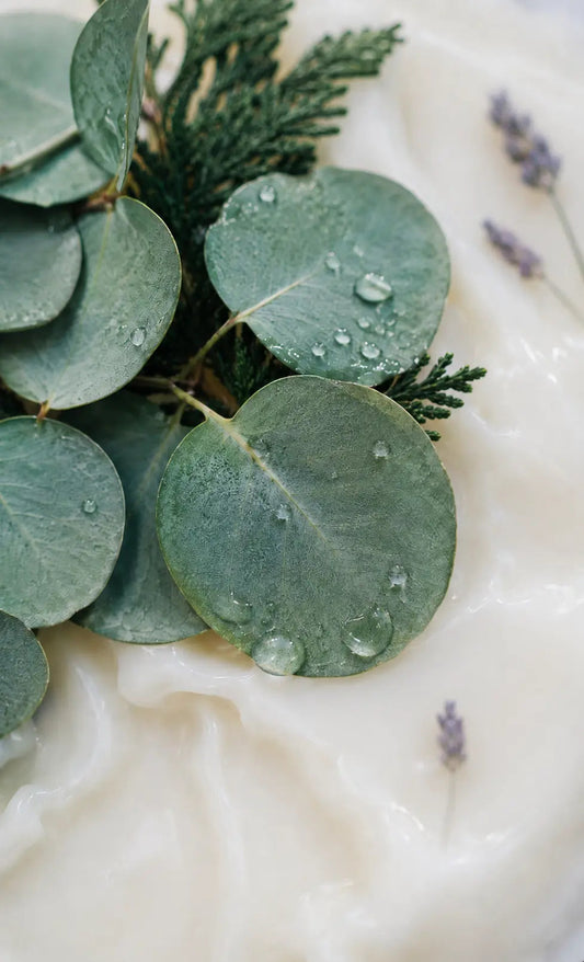Marine lavender and cypress Cloistered Drift candle